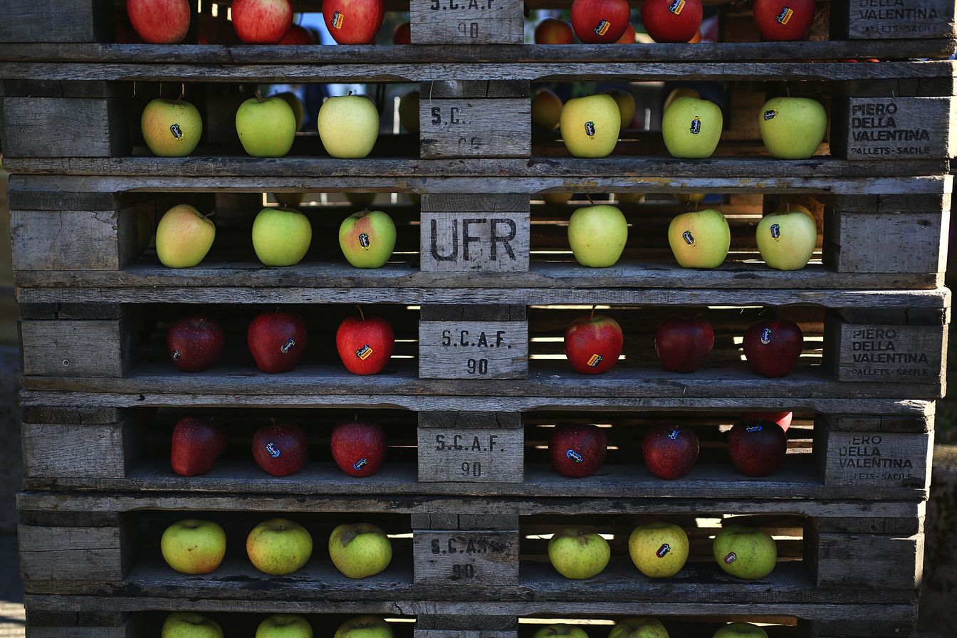 Pomaria 2019: festa delle mele a Livo, in Trentino