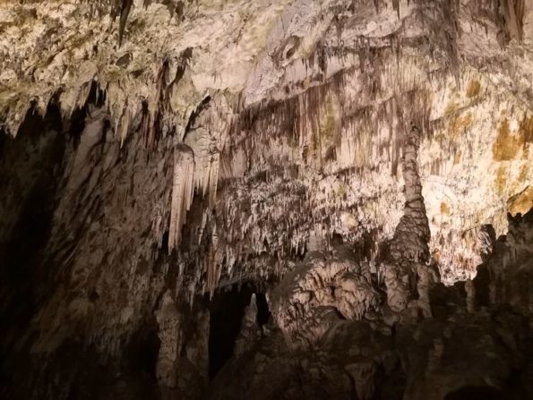 Grotte di Postojna